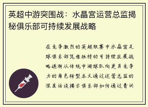 英超中游突围战：水晶宫运营总监揭秘俱乐部可持续发展战略